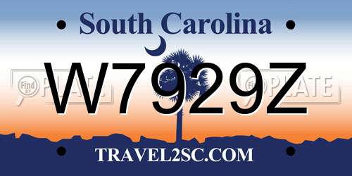 W7929Z South Carolina License Plate