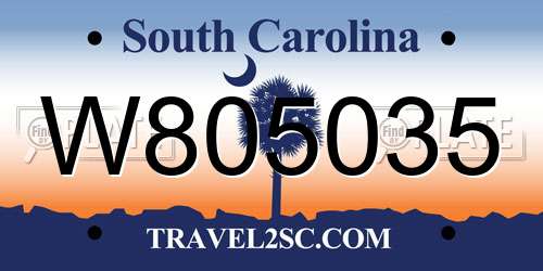 W805035 South Carolina License Plate
