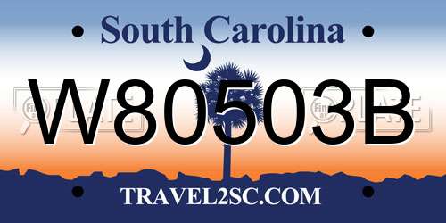 W80503B South Carolina License Plate