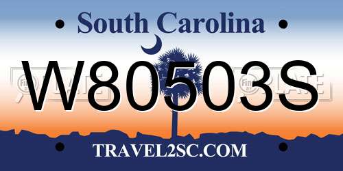 W80503S South Carolina License Plate