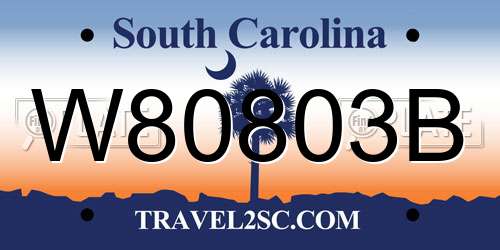 W80803B South Carolina License Plate