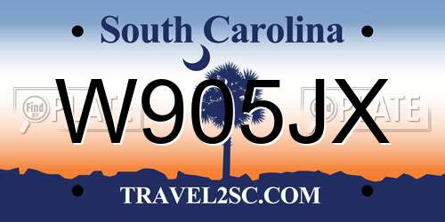 W905JX South Carolina License Plate