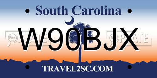 W90BJX South Carolina License Plate