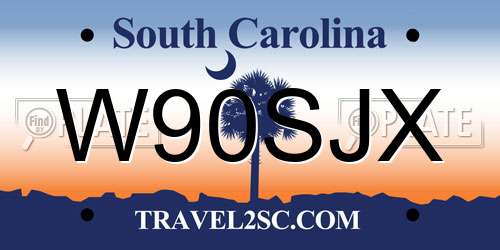 W90SJX South Carolina License Plate