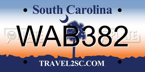 WAB382 South Carolina License Plate