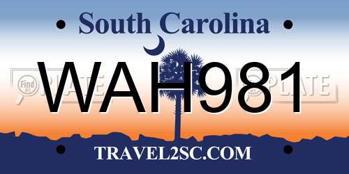 WAH981 South Carolina License Plate