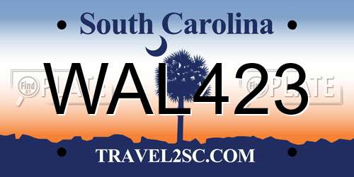 WAL423 South Carolina License Plate