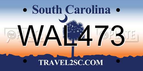 WAL473 South Carolina License Plate