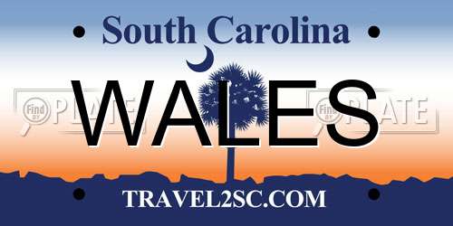 WALES South Carolina License Plate