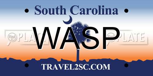 WASP South Carolina License Plate