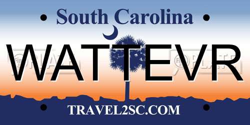 WATTEVR South Carolina License Plate