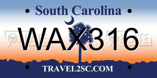 WAX316 South Carolina License Plate