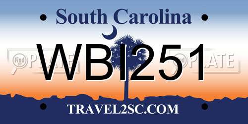 WBI251 South Carolina License Plate