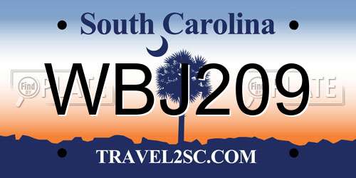 WBJ209 South Carolina License Plate