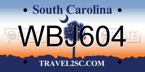 WBJ604 South Carolina License Plate