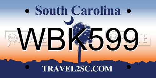 WBK599 South Carolina License Plate