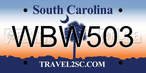 WBW503 South Carolina License Plate