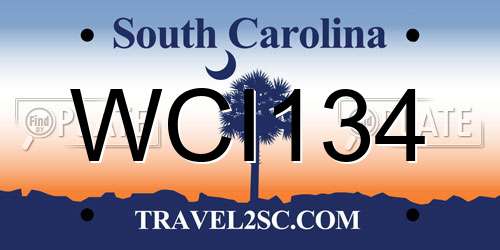WCI134 South Carolina License Plate