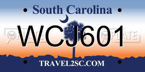 WCJ601 South Carolina License Plate