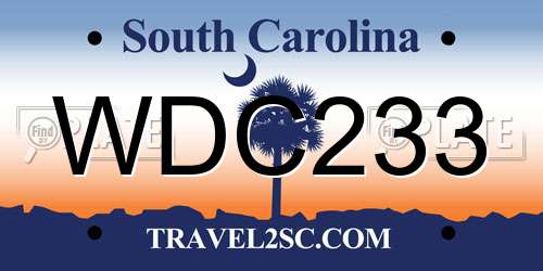 WDC233 South Carolina License Plate