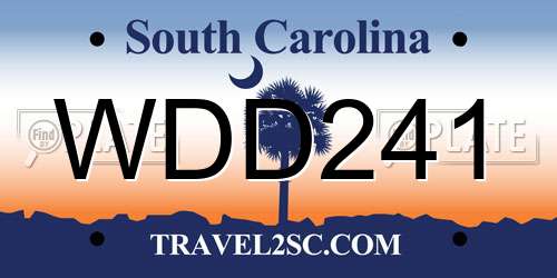 WDD241 South Carolina License Plate