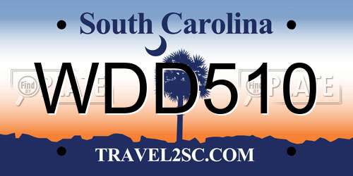 WDD510 South Carolina License Plate