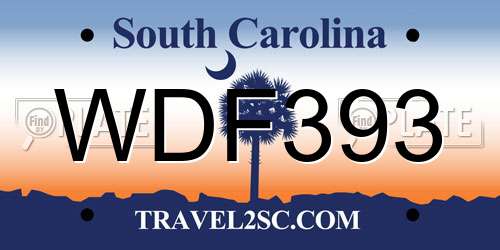 WDF393 South Carolina License Plate