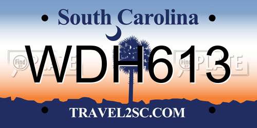 WDH613 South Carolina License Plate
