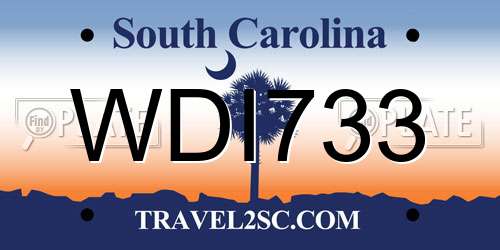 WDI733 South Carolina License Plate