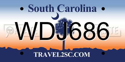 WDJ686 South Carolina License Plate