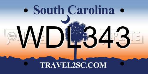 WDL343 South Carolina License Plate