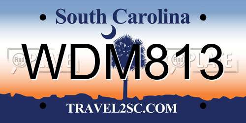 WDM813 South Carolina License Plate