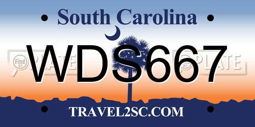 WDS667 South Carolina License Plate