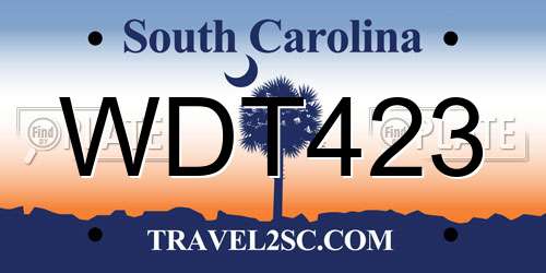 WDT423 South Carolina License Plate