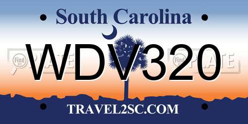 WDV320 South Carolina License Plate