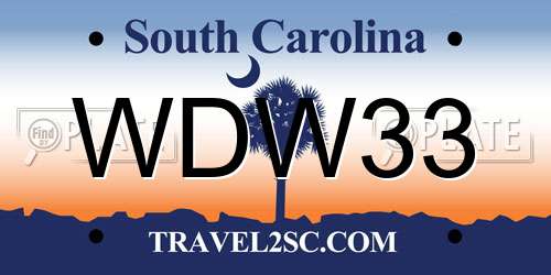WDW33 South Carolina License Plate