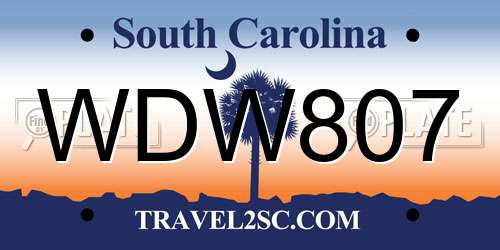 WDW807 South Carolina License Plate