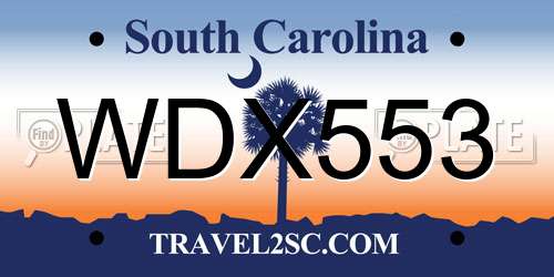 WDX553 South Carolina License Plate