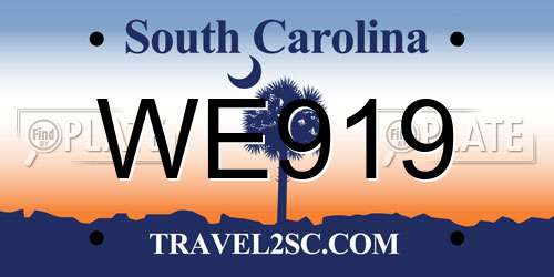 WE919 South Carolina License Plate