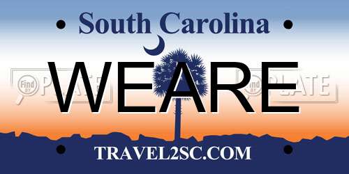 WEARE South Carolina License Plate