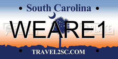 WEARE1 South Carolina License Plate
