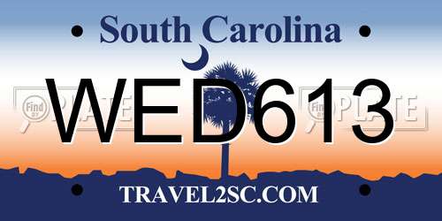 WED613 South Carolina License Plate