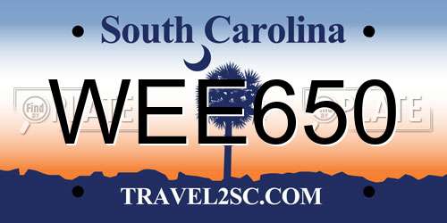 WEE650 South Carolina License Plate