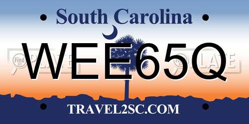 WEE65Q South Carolina License Plate