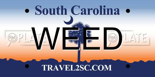 WEED South Carolina License Plate