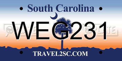 WEG231 South Carolina License Plate