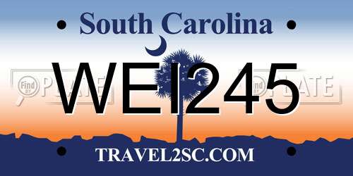 WEI245 South Carolina License Plate