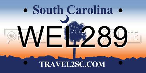 WEL289 South Carolina License Plate