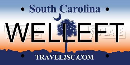 WELLEFT South Carolina License Plate