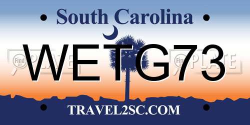 WETG73 South Carolina License Plate